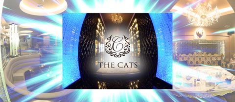 THE CATS・キャッツ - 熊本市・下通りのキャバクラ