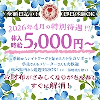 ポケパラランキング Girls Night Cafe Airy