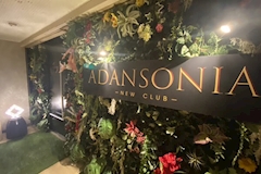 NEW CLUB ADANSONIA・アダンソニア - 長崎市・思案橋のキャバクラ 店舗写真