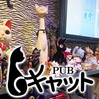 PUB キャット