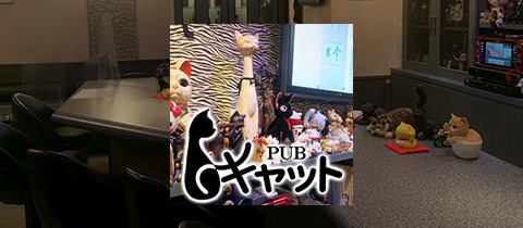 PUB キャット - 新山口（小郡）のスナック