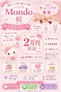 ピックアップニュース 大学生大歓迎🌸
