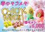 ピックアップニュース 《4月限定リキュール》チッキーミッキー🥚登場✨
