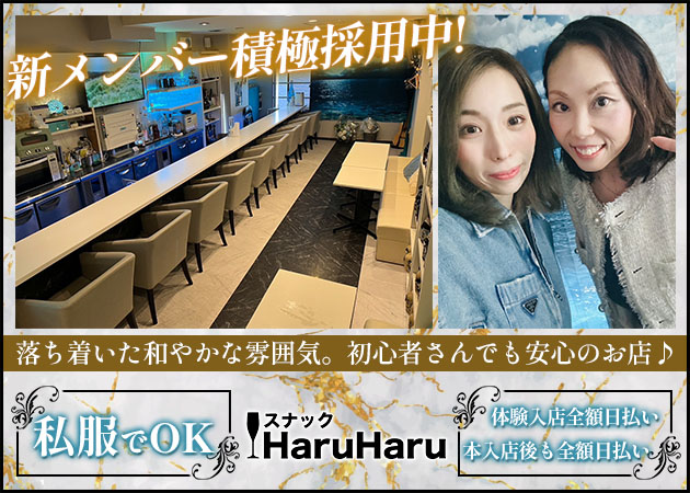 大塚パブ/スナック・スナック HaruHaruの求人