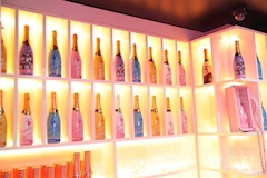 Luxury BAR CHANCE・チャンス - ミナミのガールズバー 店舗写真