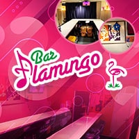 Bar Flamingo - 浦安のガールズバー