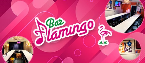 Bar Flamingo・フラミンゴ - 浦安のガールズバー