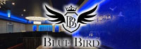 BLUE BIRD