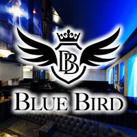BLUE BIRD