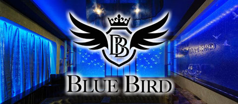 BLUE BIRD・ブルーバード - 諫早市・本町のキャバクラ