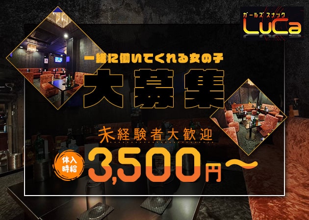 神田パブ/スナック・ガールズスナック LuCaの求人