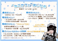 大好評のイベント『ねこカフェほしひめ』🐱💙