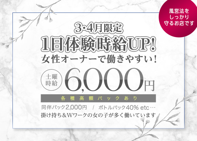 豊橋キャバクラ・club angeの求人