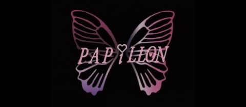 PAPiLLON・パピヨン - 新潟駅前のスナック
