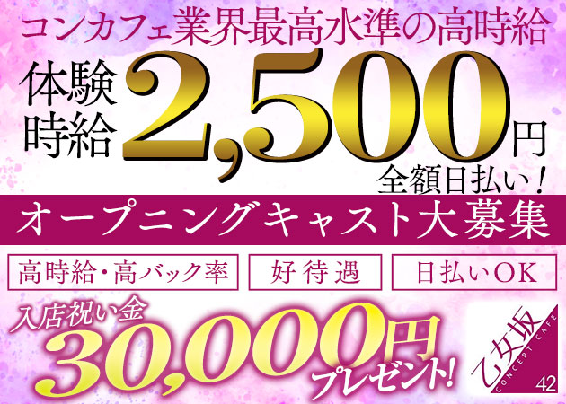 乙女坂42 職種：カウンターレディ