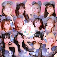 店舗写真 オオカミちゃんカフェ神戸三宮店 - 三宮のコンカフェ