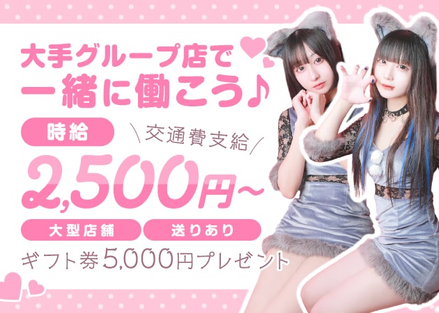 オオカミちゃんカフェ神戸三宮店 職種：カウンターレディ
