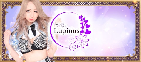Girls BAR LOUNGE Lupinus・ルピナス - 西新宿のガールズバー