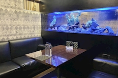 club Ivy・アイヴィー - 富士見のキャバクラ 店舗写真