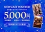 ピックアップニュース ウルで一緒に働きませんか?⭐️