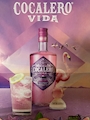 ピックアップニュース 〜コカレロVIDA上陸🍸〜