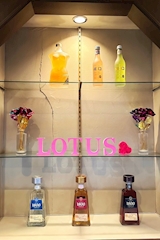 Lotus・ロータス - 古河・東口のキャバクラ 店舗写真