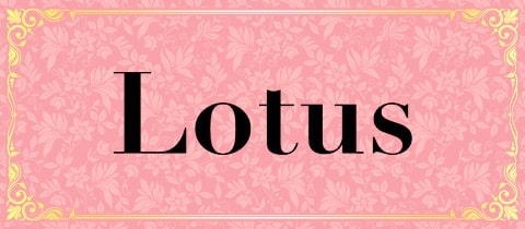 Lotus・ロータス - 古河・東口のキャバクラ
