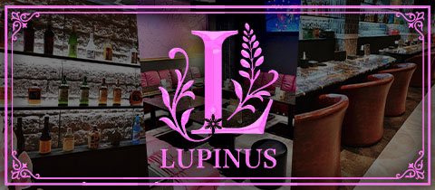lounge LUPINUS・ルピナス - 岐阜 大垣のクラブ/ラウンジ