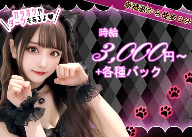 ポケパラ体入 ACES・エーシーズ - 新橋のガールズバー女性キャスト募集