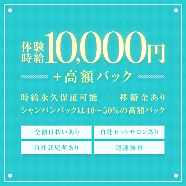 ピックアップニュース 🩵キャストさん募集中🩵