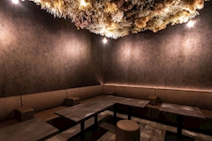 CLUB CAZICA・カジカ - 国分町のキャバクラ 店舗写真