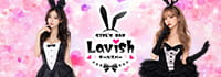 Girl's Bar Lavish