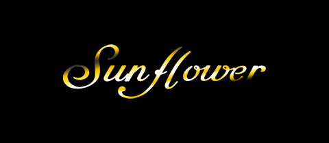 Sun Flower・サンフラワー - 佐世保市・山県町のスナック