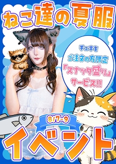 ねこ達の夏服イベント❕可愛い夏服でお給仕🏖☀️
