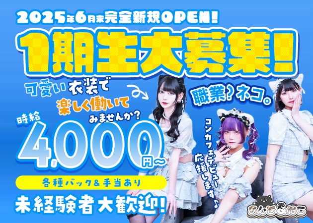 あんど&ねこ 職種:カウンターレディ