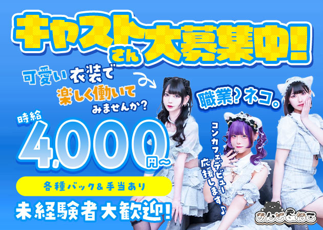 あんど&ねこ 職種：カウンターレディ