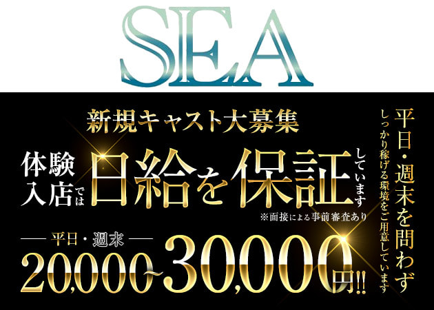 ポケパラ体入 SEA・シー - JR宇都宮のキャバクラ女性キャスト募集