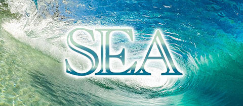 SEA・シー - JR宇都宮のキャバクラ