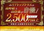 ピックアップニュース 経験者・未経験者問わず大募集