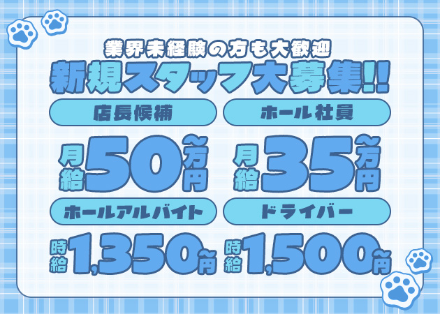 名古屋 錦のコンカフェ求人/アルバイト情報「甘ねこ研究所」
