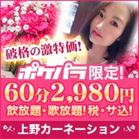 近くの店舗 カーネーション