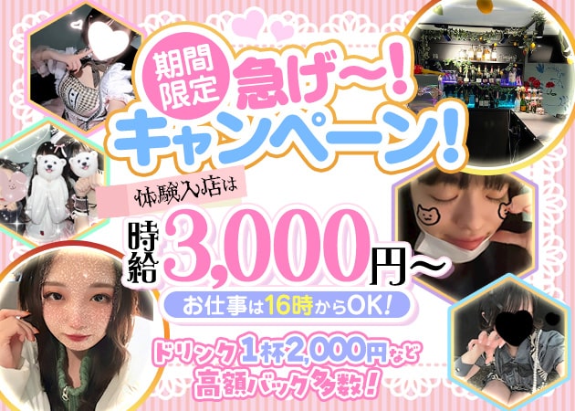 Girls Bar でぃんぷる 職種：カウンターレディ