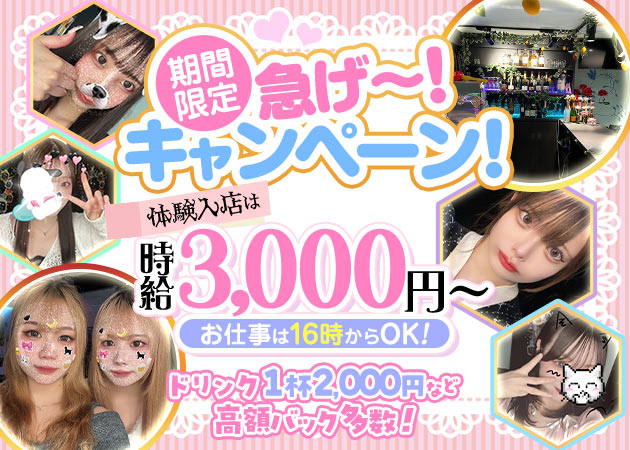 Girls Bar でぃんぷる 職種：カウンターレディ