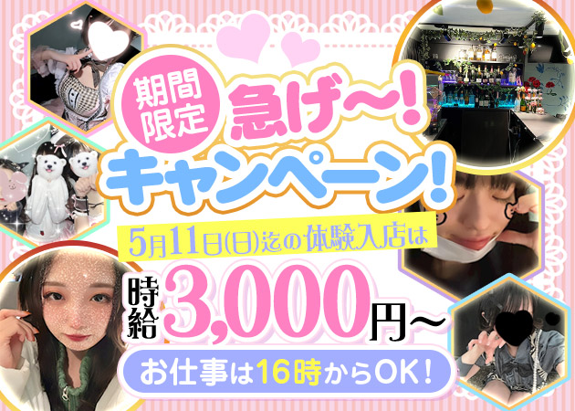 錦糸町ガールズバー・Girls Bar でぃんぷるの求人