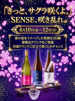 🌸「きっと、サクラ咲くよ。」 SENSE、咲き乱れ。