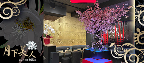 月下美人・ゲッカビジン - 柏駅 東口のキャバクラ