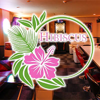 店舗写真 Girl's Bar HIBISCUS・ハイビスカス - 松山市のガールズバー