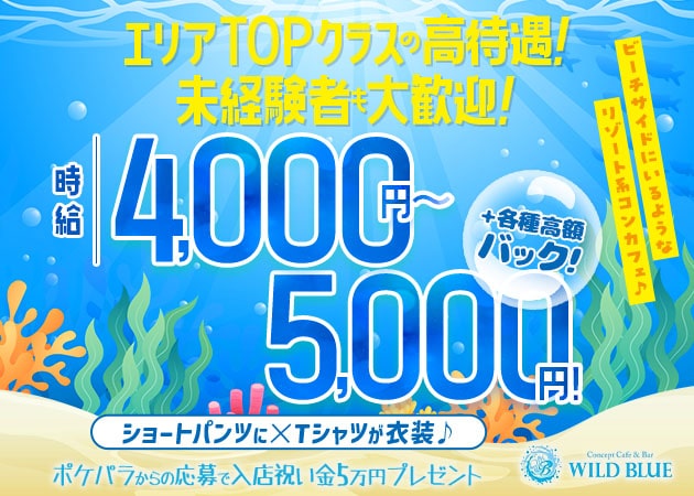 Concept Cafe & Bar WILD BLUE 職種：カウンターレディ