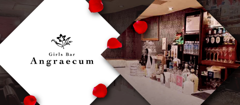 Girls Bar Angraecum・アングレカム - 銀座・新橋のガールズバー