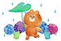 ピックアップニュース 🐸雨の日割☔